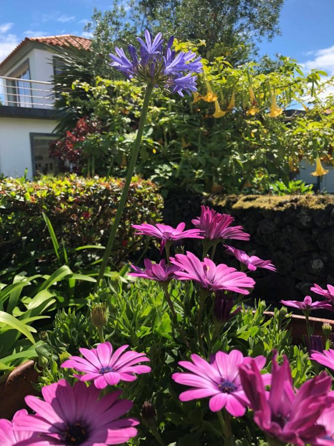 Villa Quinta Da Bela Vista Ponta Delgada Exterior foto